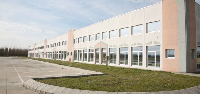 Gruppo Napoleon ad Arcole